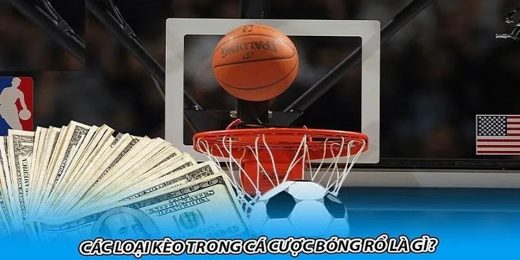 Tìm Hiểu Bóng Rổ ABC8: Thể Thao Đỉnh Cao Và Cơ Hội Giải Trí 2 Tìm Hiểu Bóng Rổ ABC8: Thể Thao Đỉnh Cao Và Cơ Hội Giải Trí